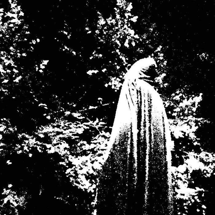 Forest Of Sempiternal Night Pt. Ii