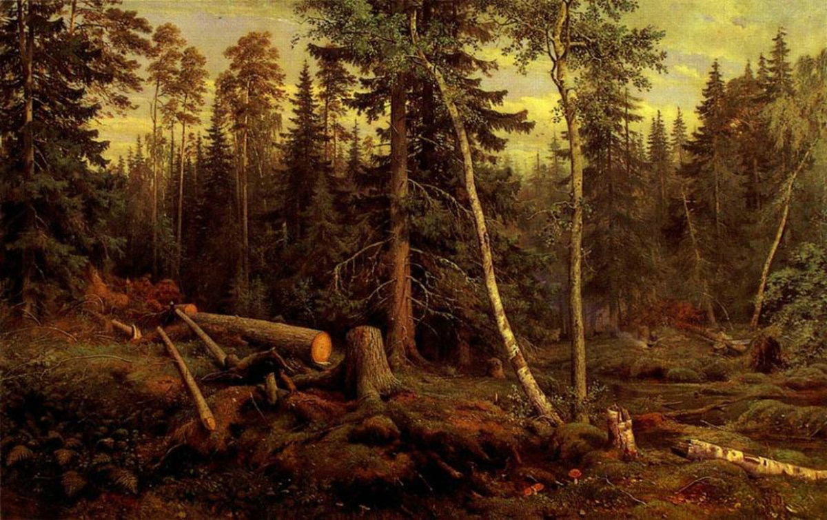 Dreams Of Forests