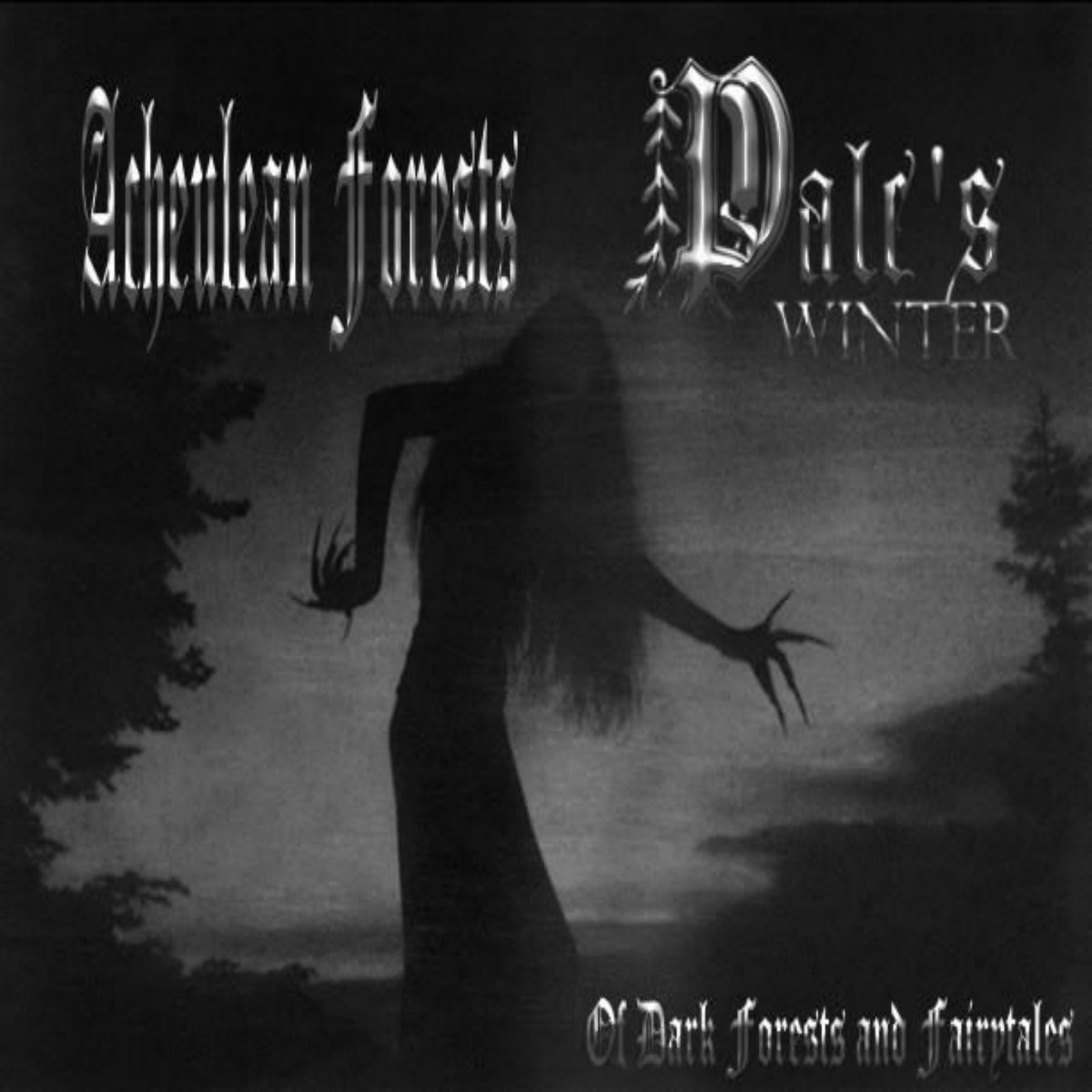 Of Dark Forests And Fairytales