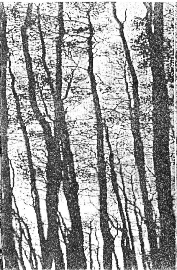 Ensomhet