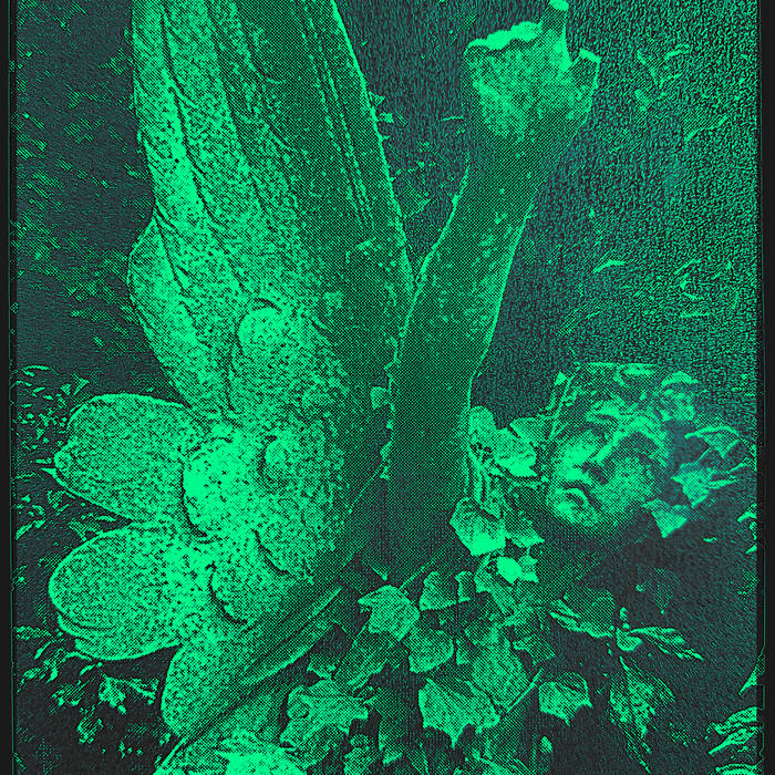 The Verdant Reclamation