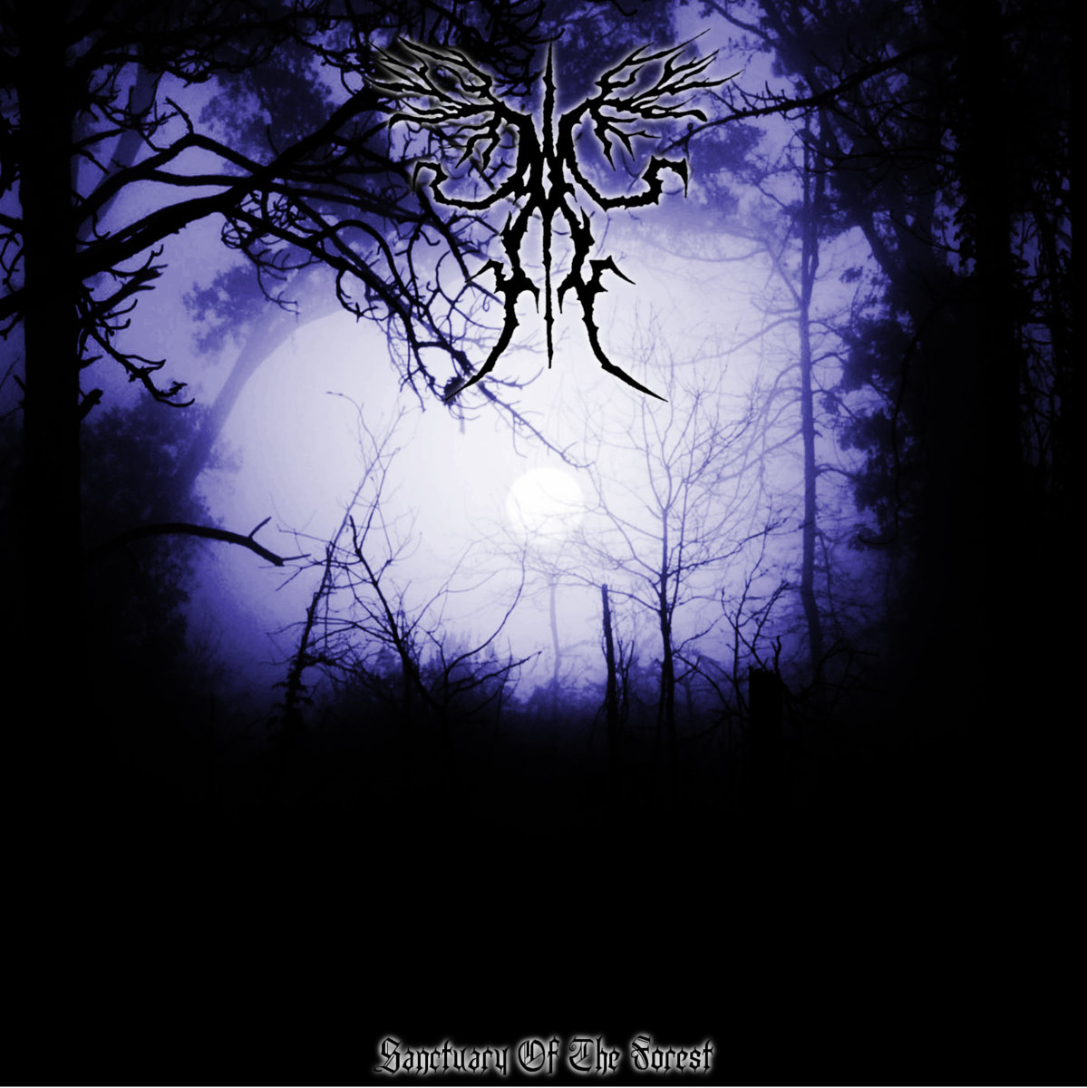 Sanctuary Of The Forest