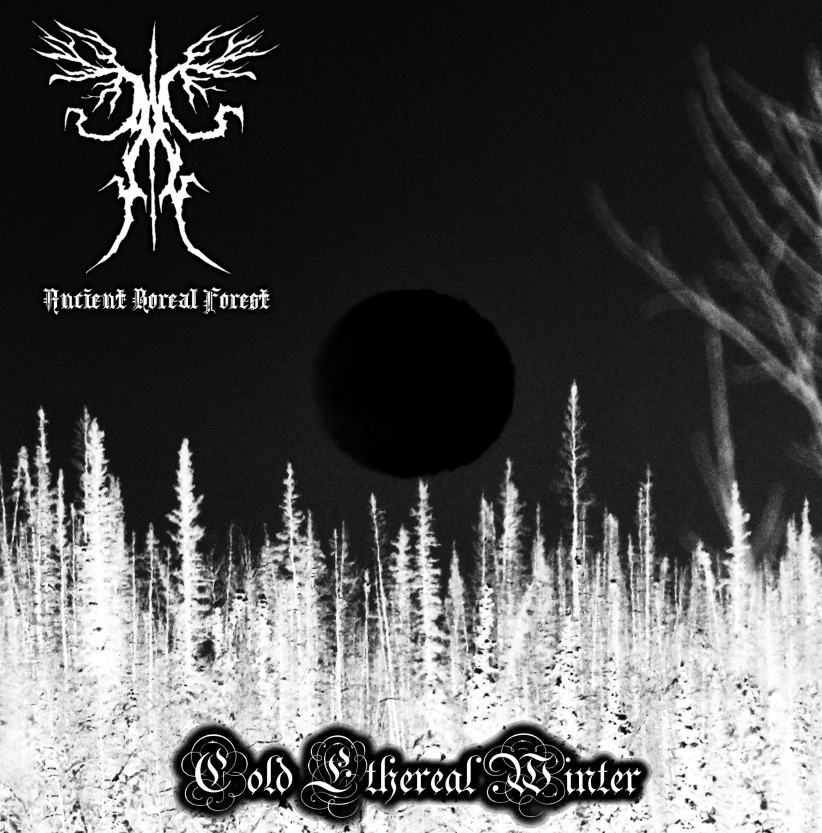 Cold Ethereal Winter
