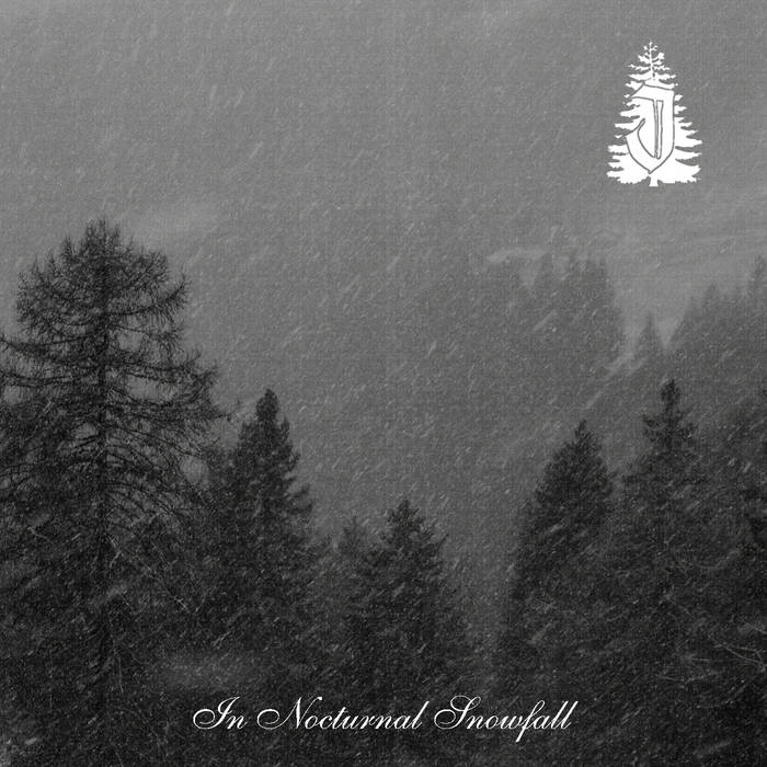 In Nocturnal Snowfall
