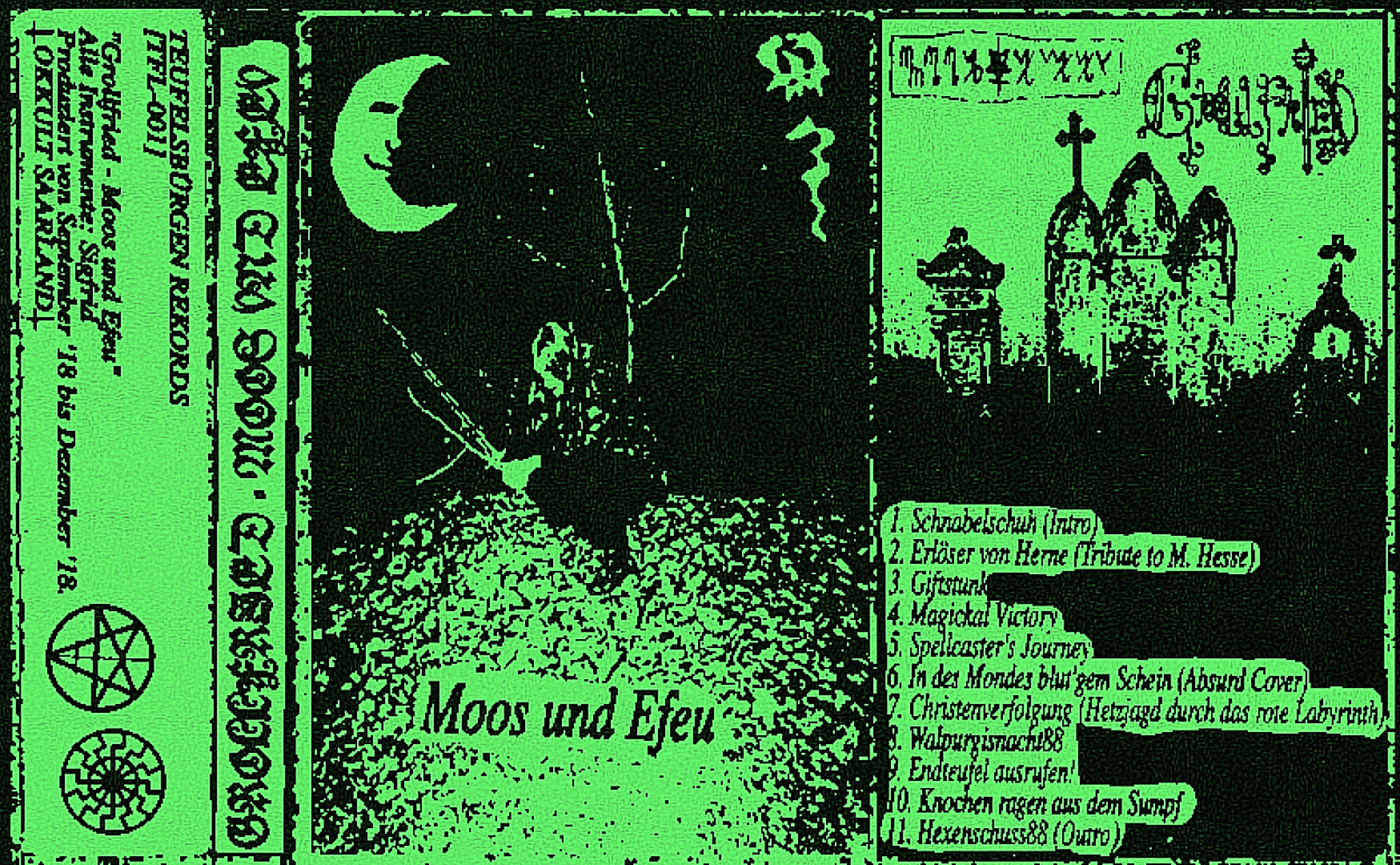 Moos und Efeu