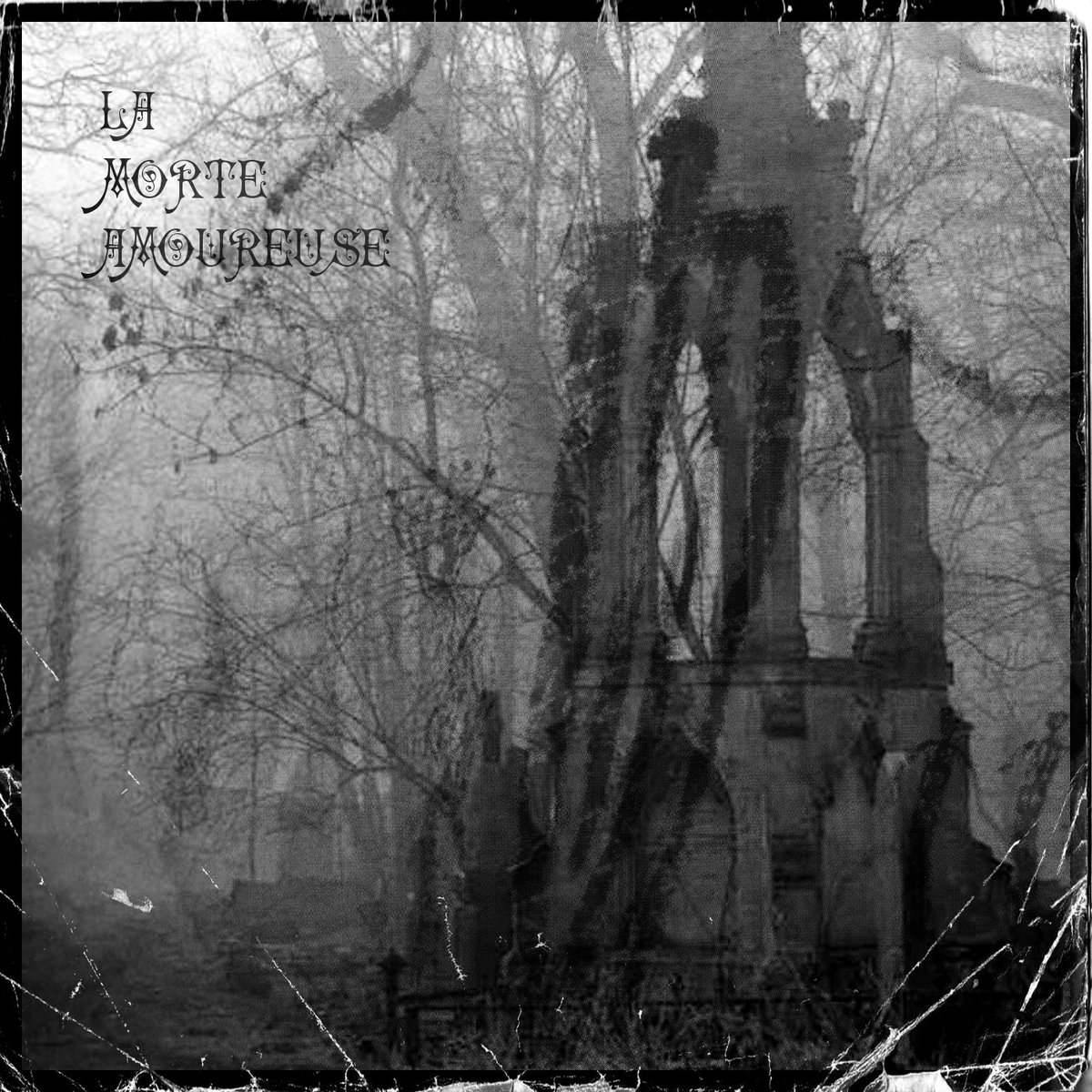 Natura Secreta Immortui