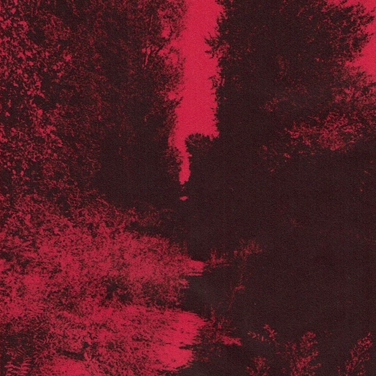 In the Mud, Covered in Flies