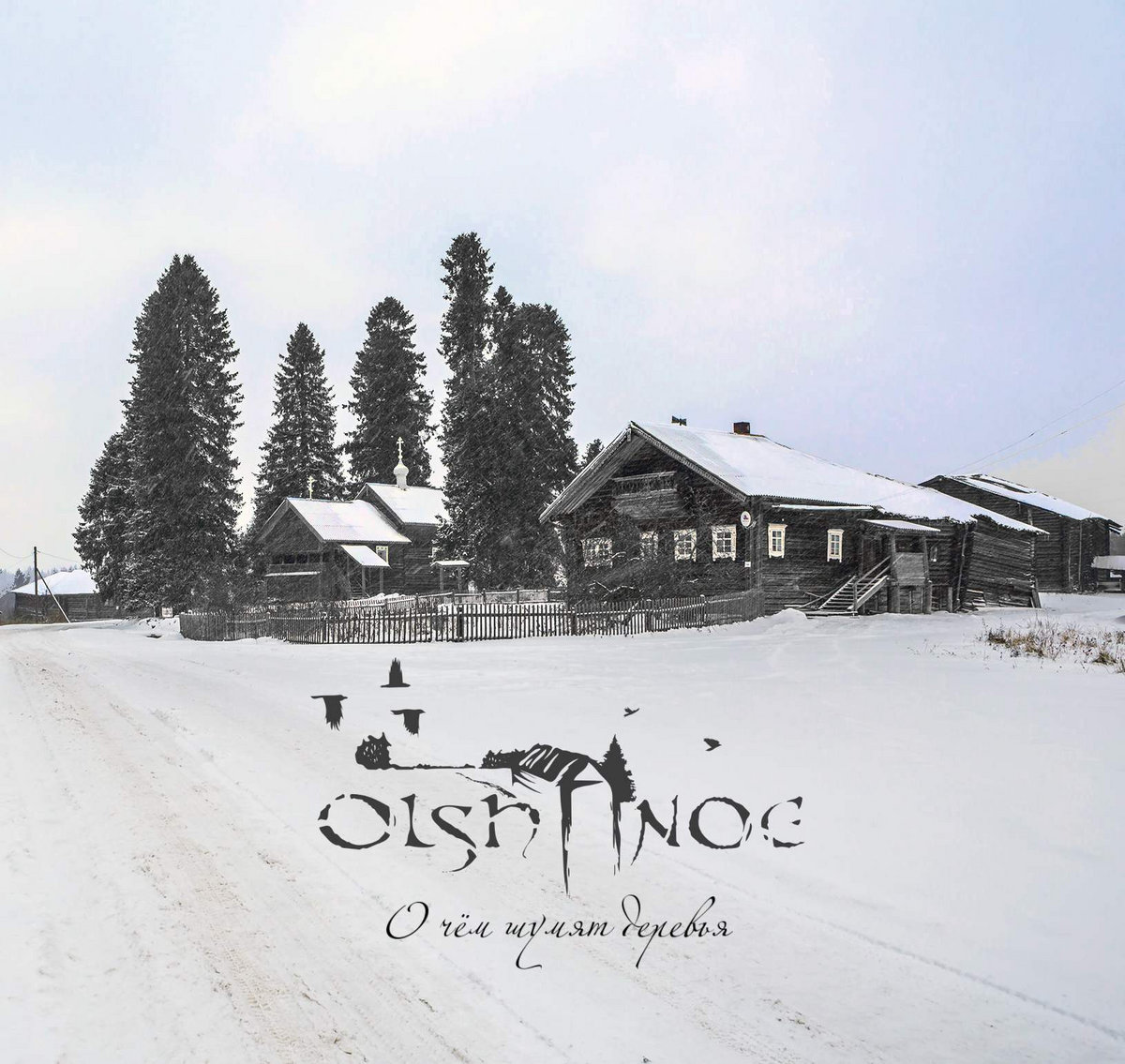 О чём шумят деревья