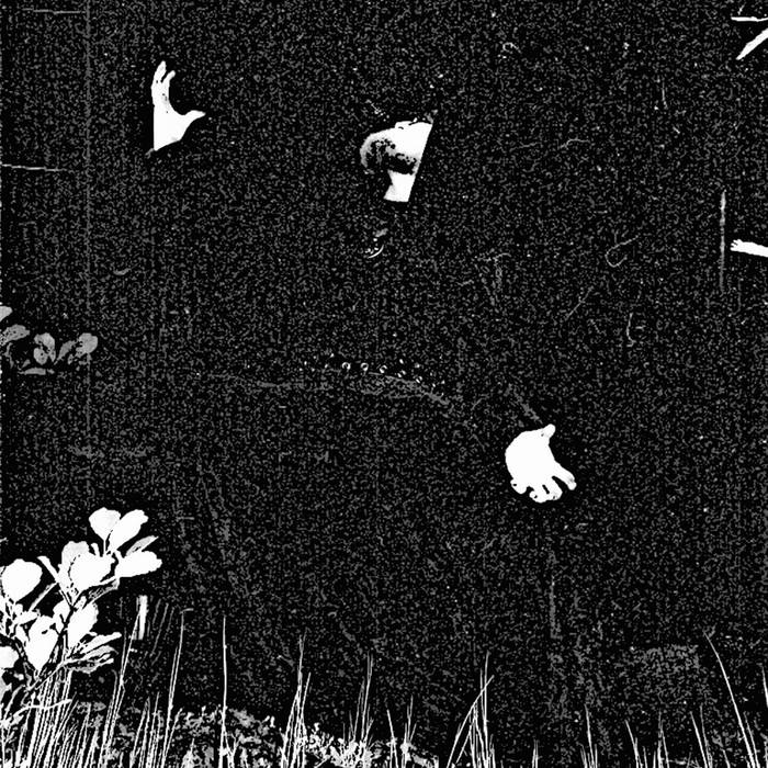 Wampyriskra Morte