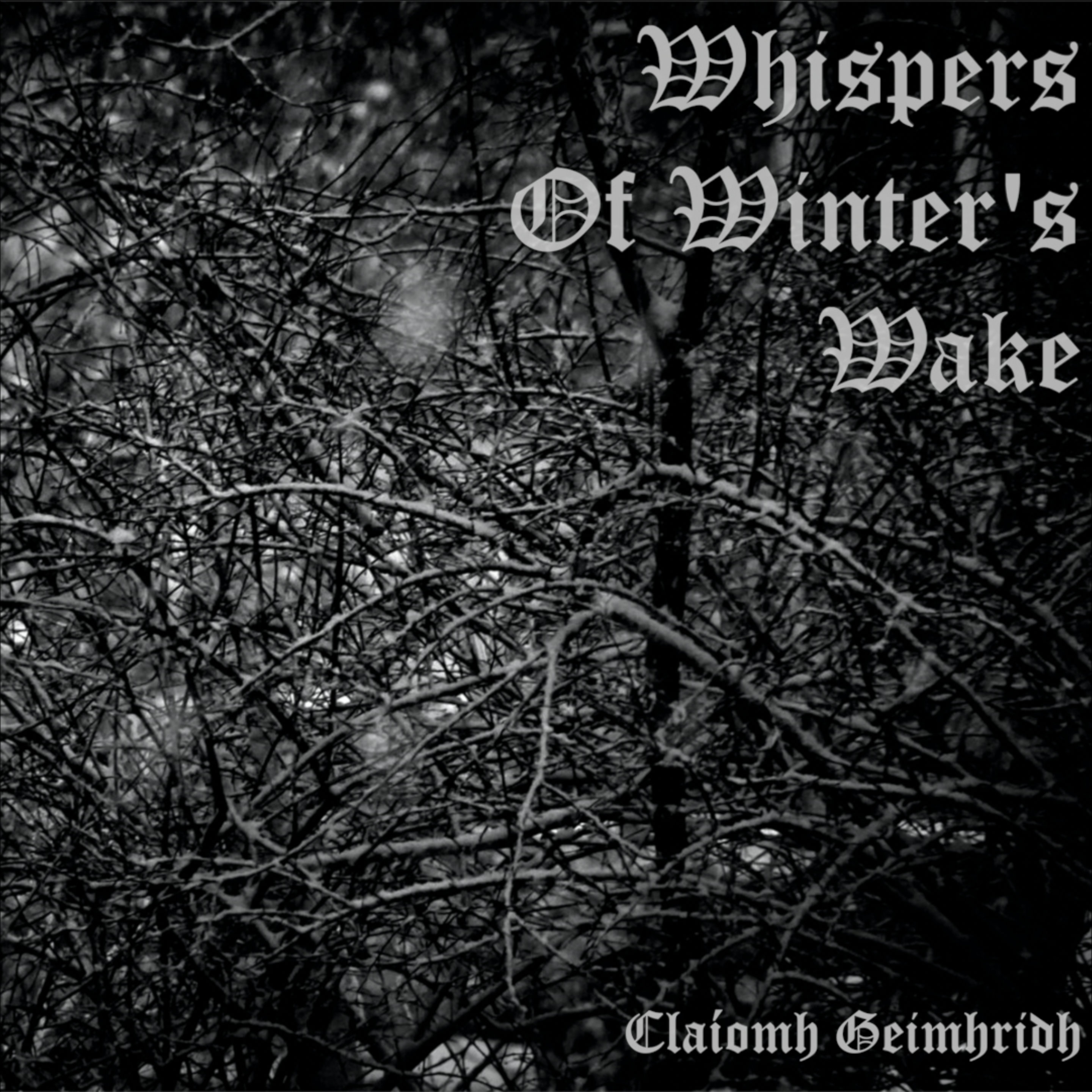 Whispers of Winter's Wake