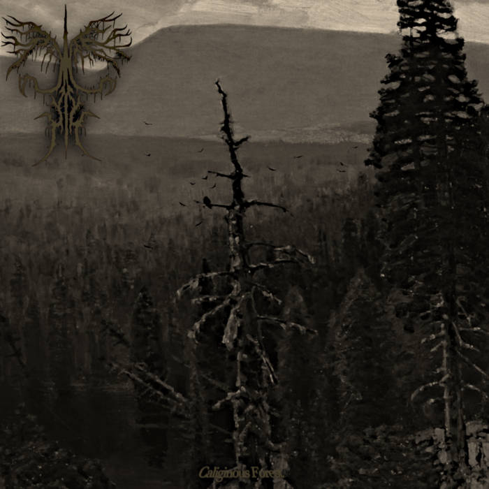 Caliginous Forest
