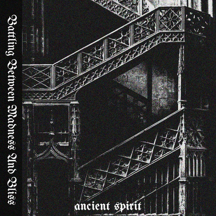 Battling Between Madness And Bliss