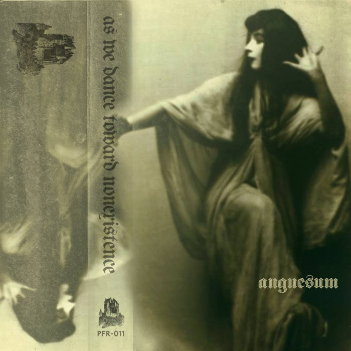 As We Dance Toward Nonexistence