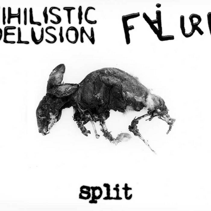 Untitled track from split w/ Nihilistic Delusion