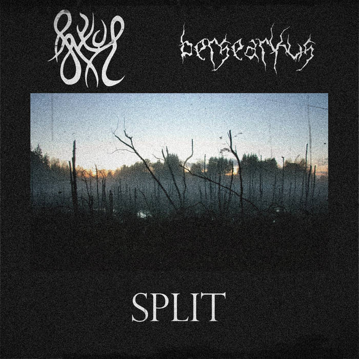 Untitled track from split w/ bersearkus