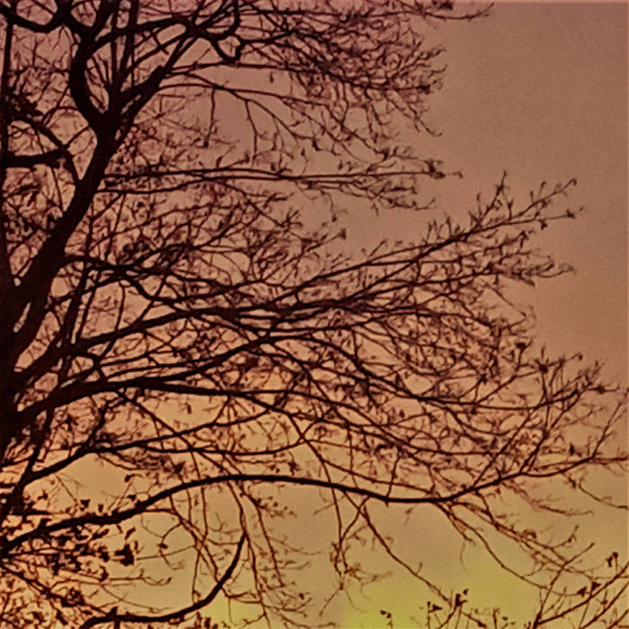 Mysteries of the Setting Sun