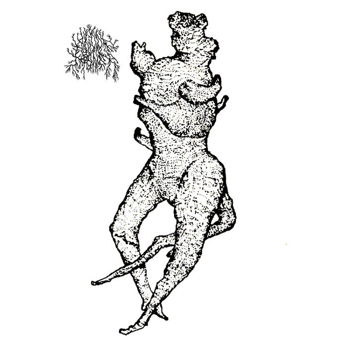 Posture Magic