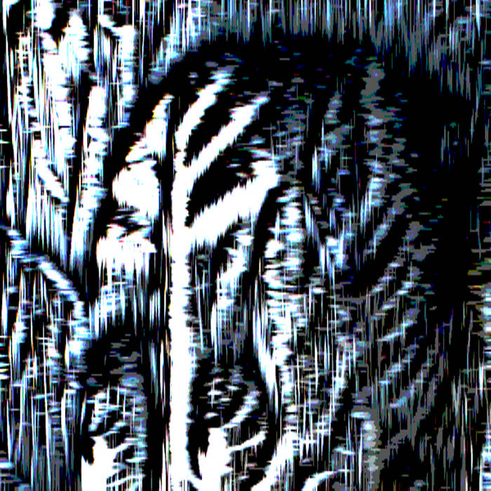 Untitled track from split w/ Nihilistic Delusion (2015)