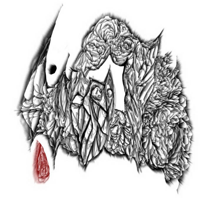 Untitled track from split w/ Nihilistic Delusion (2020)