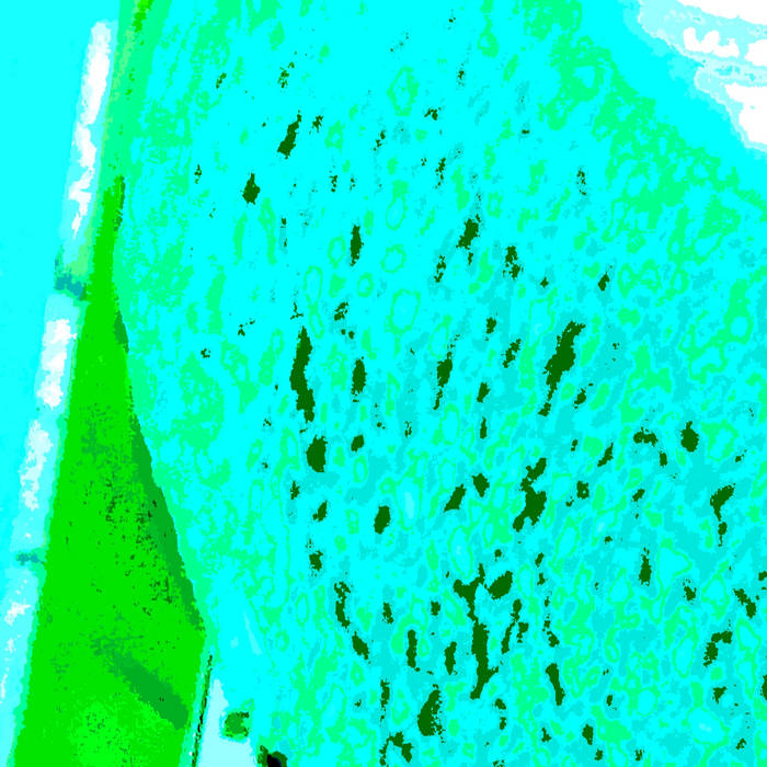 Demo 4