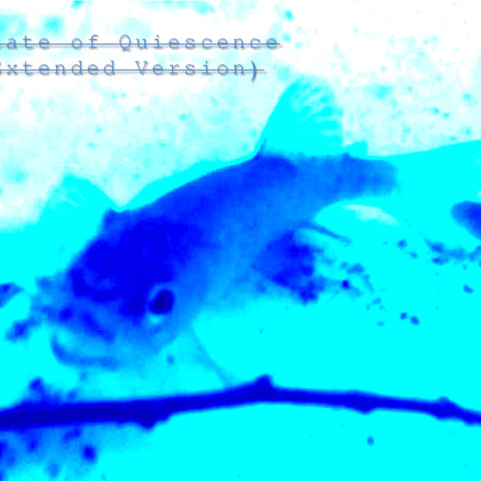 State of Quiescence (Extended Version)