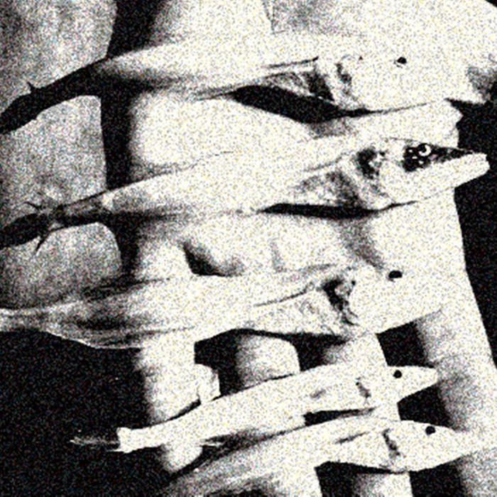 Baikal​/​What Dwells Beneath