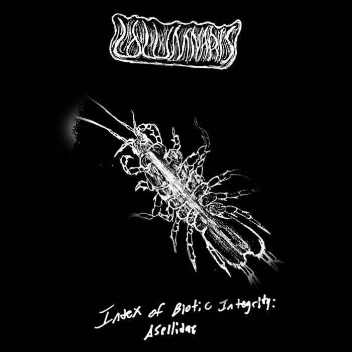 Index of Biotic Integrity 1: Asellidae