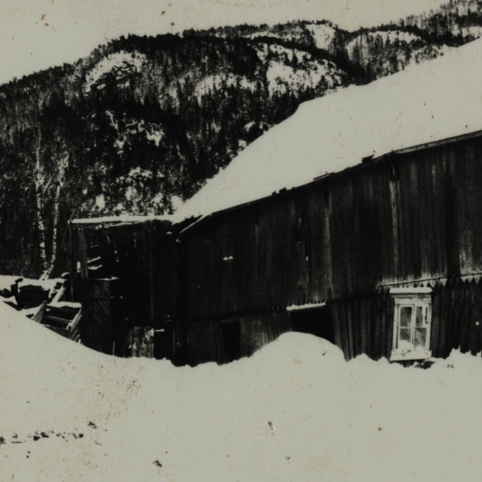 Als der Wald jung war