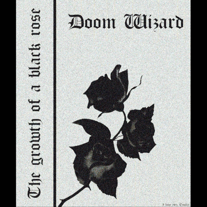 The growth of a black rose