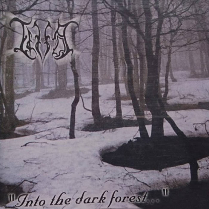 Into the Dark Forest​.​.​.