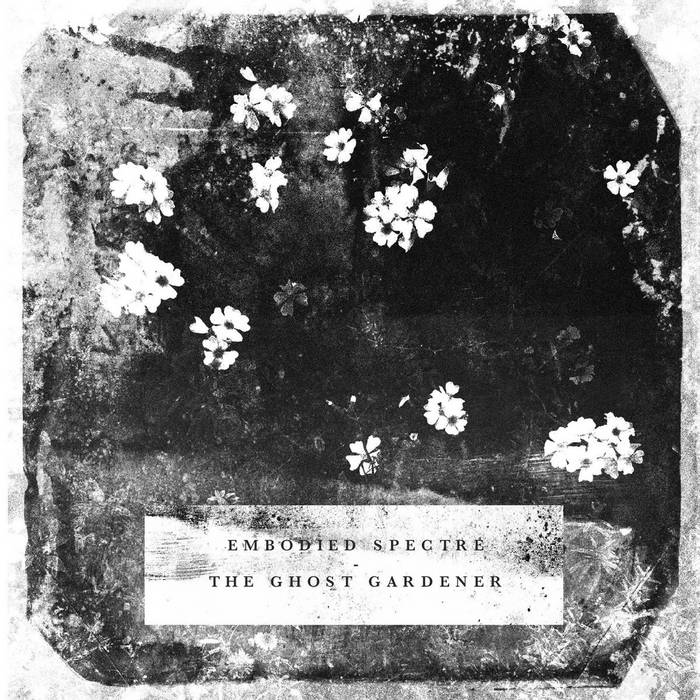 Ghost Gardener / Embodied Spectre - split