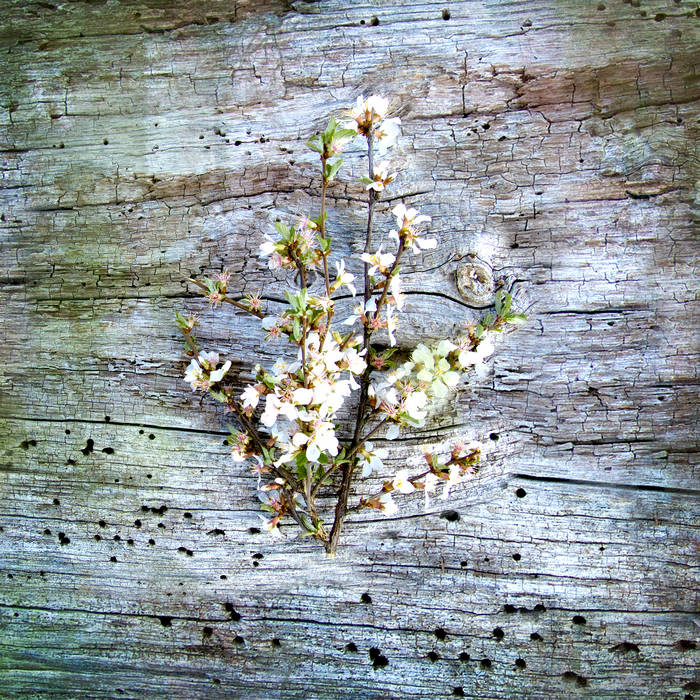 Beltane​-​Spring