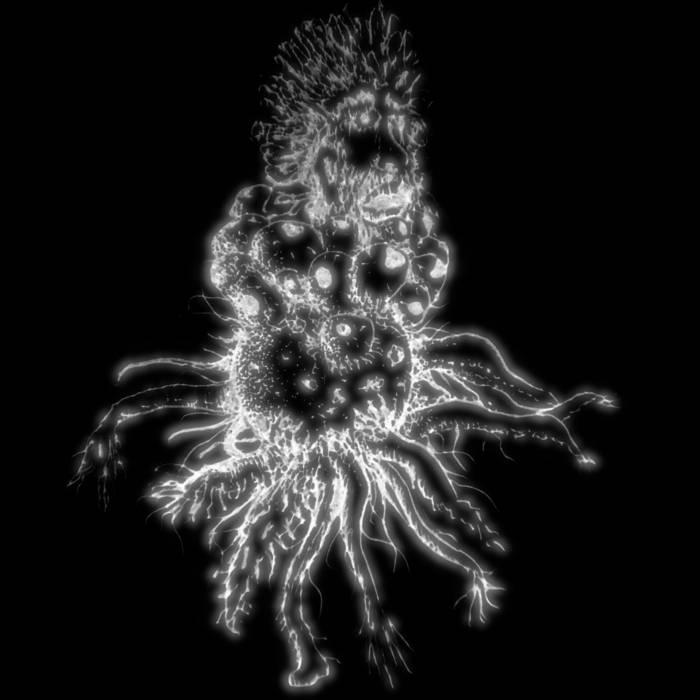 In The Court Of The Sewer King