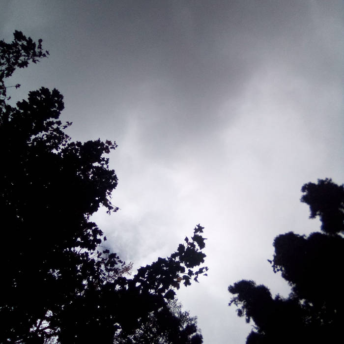 Suicidal Meanderings