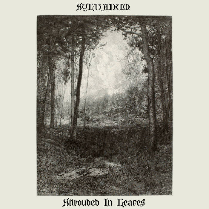 Shrouded In Leaves