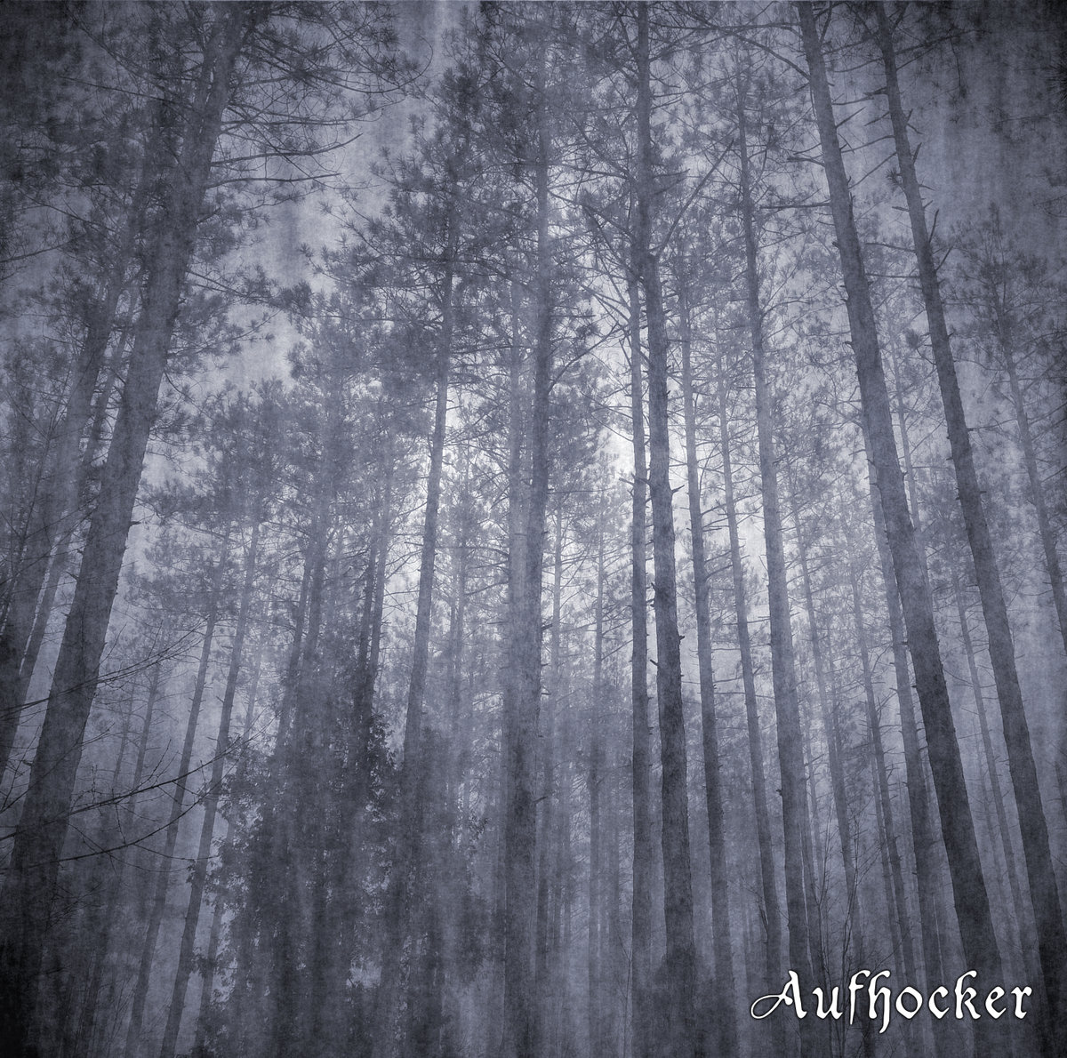 Forest Of Disillusionment