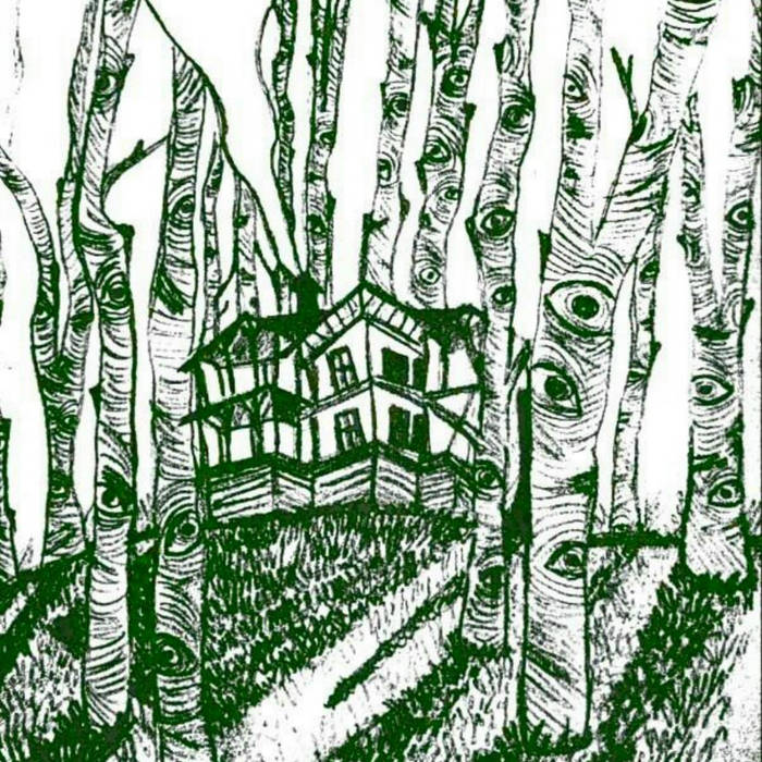The Forest Is Watching