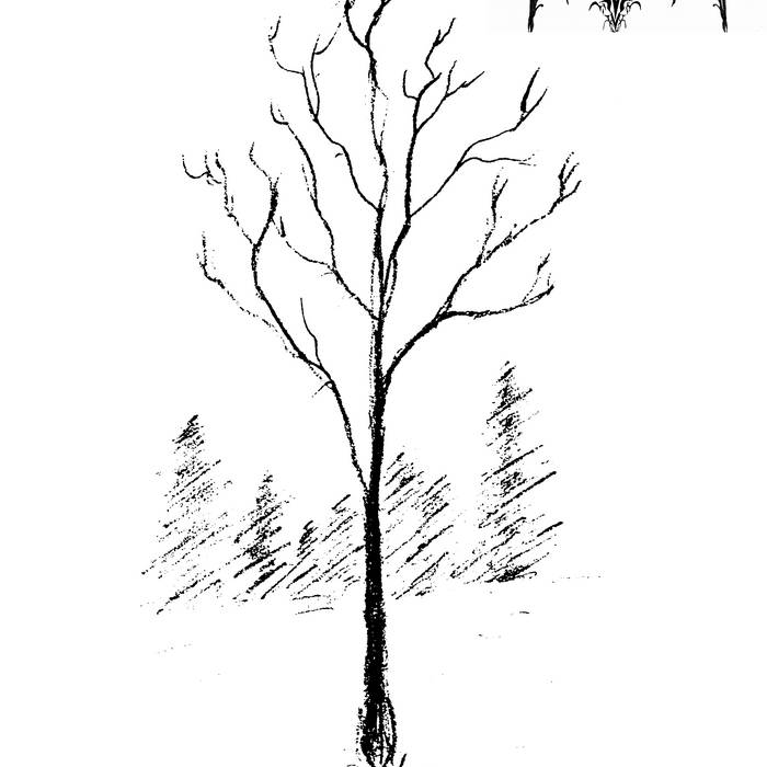December​´​s Melancholy