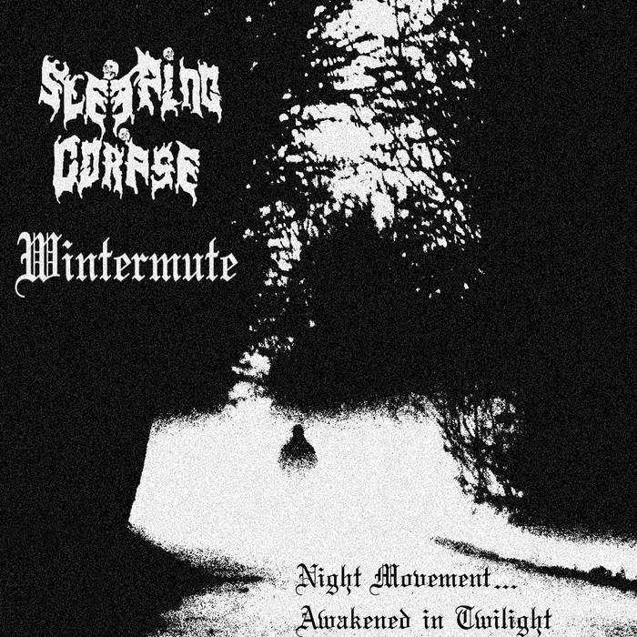 Night Movement​.​.​. Awakened In Twilight