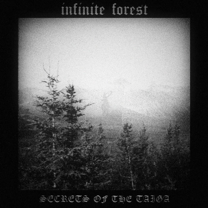 Secrets of the Taiga