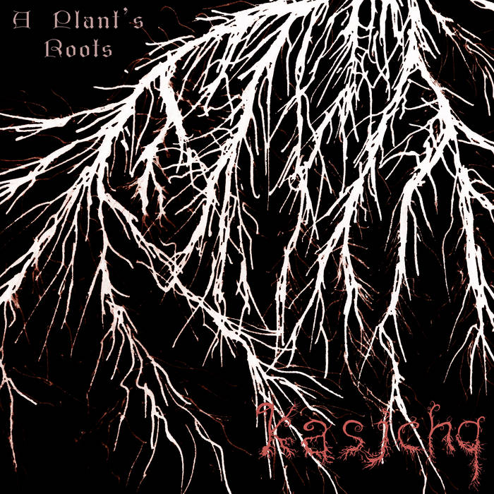 A Plant's Roots