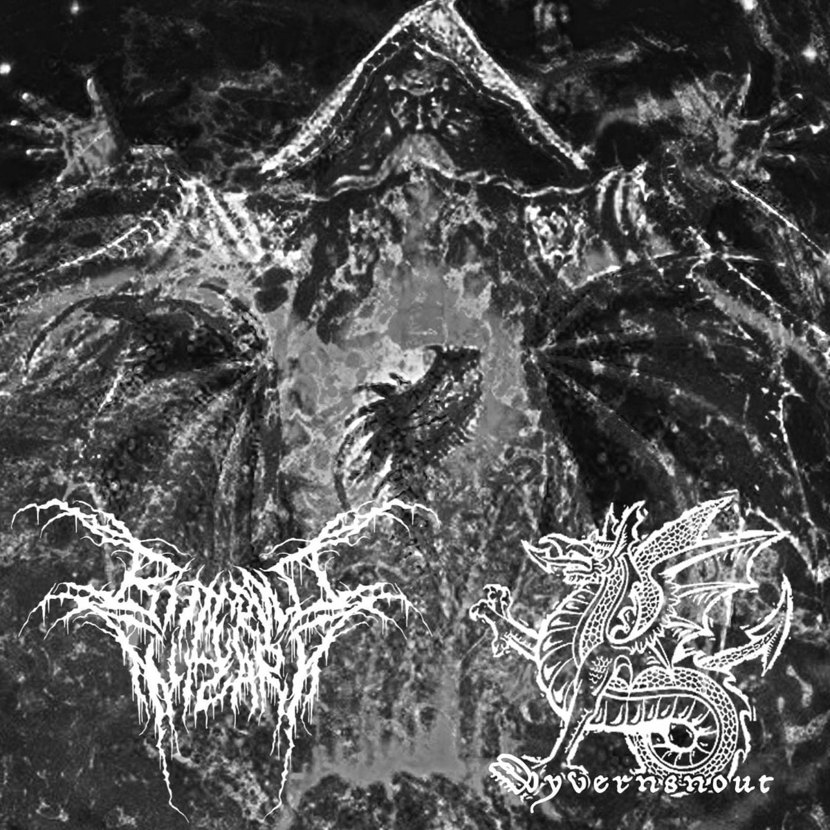 The Wyzarding Wyvern