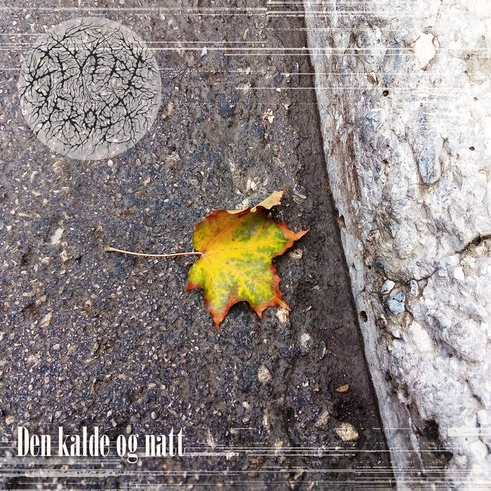 Den kalde og natt