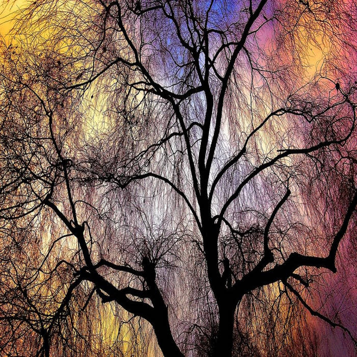 П​л​а​к​у​ч​а​я и​в​а