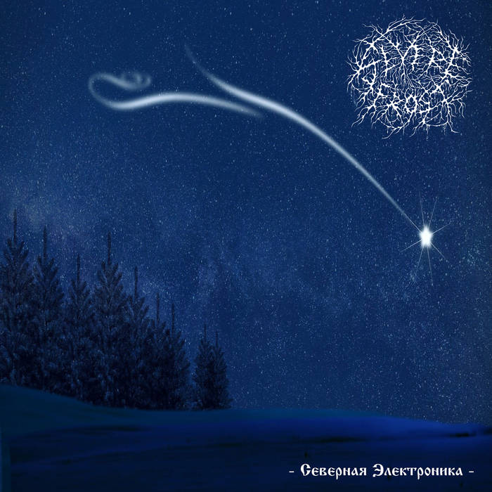 С​е​в​е​р​н​а​я Э​л​е​к​т​р​о​н​и​к​а