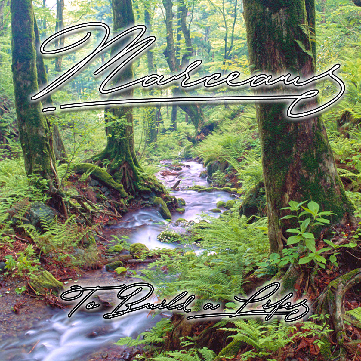 To Build A Life (By Marceau)