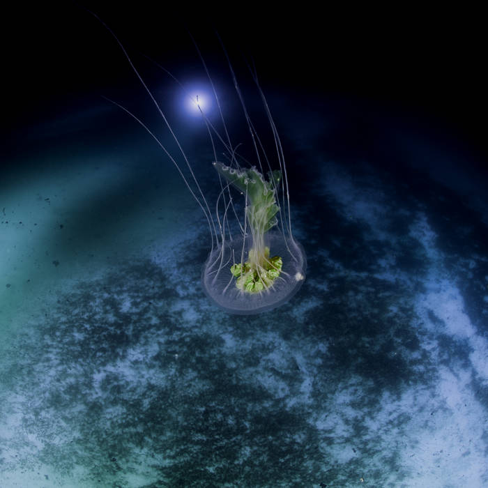 Treefish (from Ecco: Songs of Time)