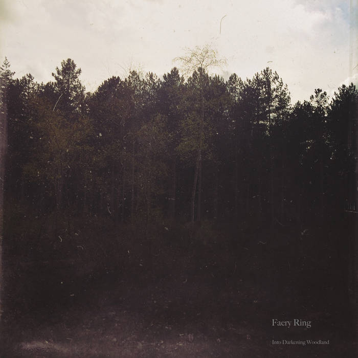 Into Darkening Woodland (Demo)