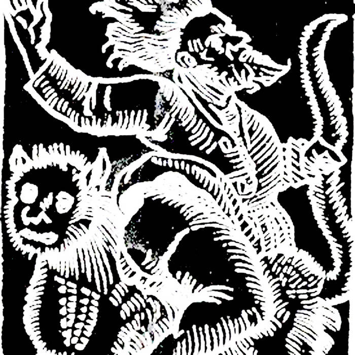 Strange Tales from the Forest​.​.​.