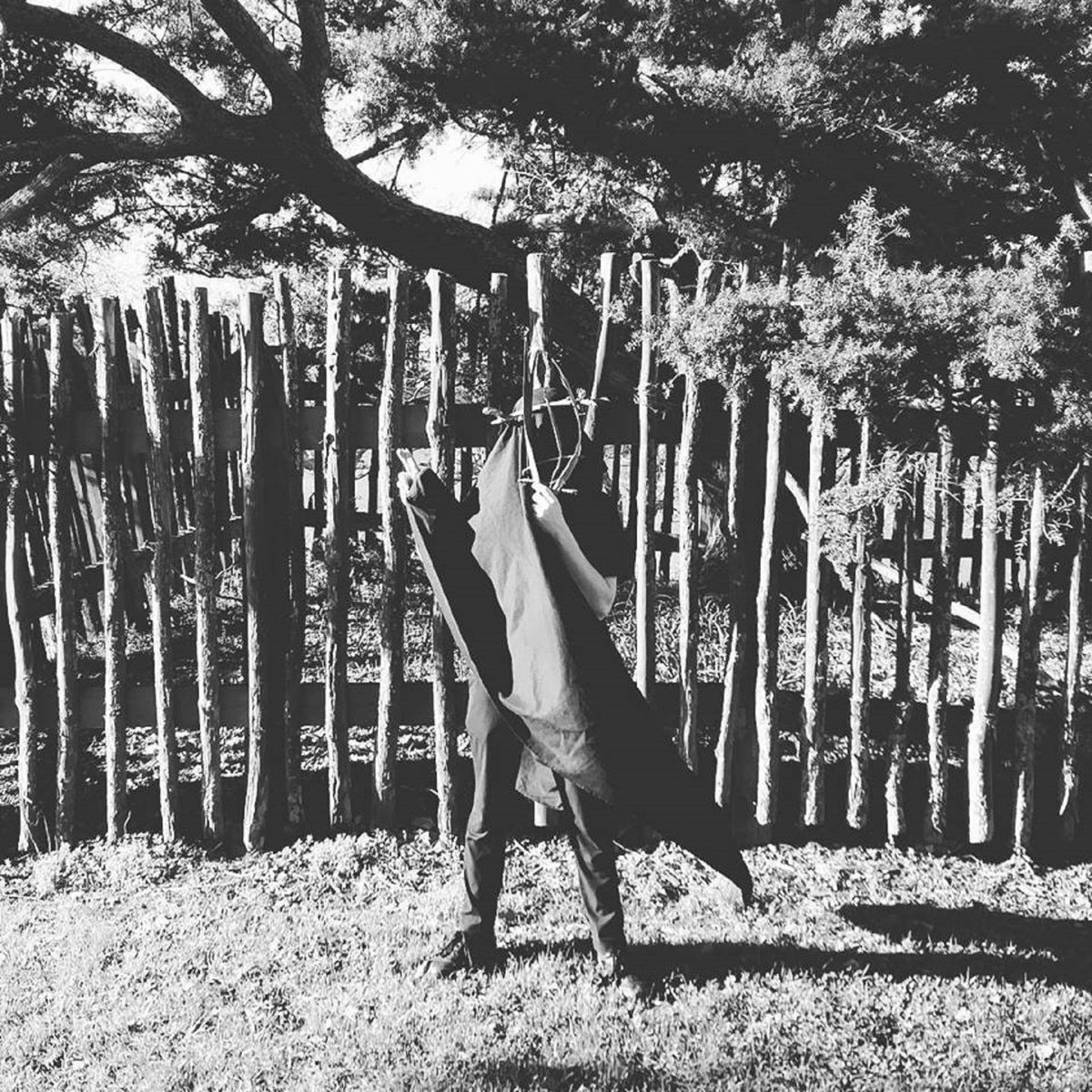 Merch .​.​.​as Decayed Wings Flutter Through The Trees